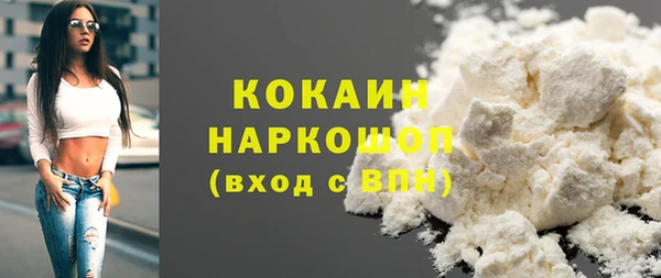 спайс Гусь-Хрустальный