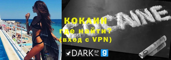 спайс Гусь-Хрустальный