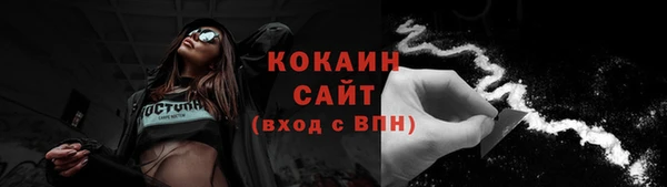 спайс Гусь-Хрустальный