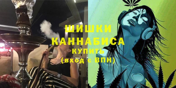 спайс Гусь-Хрустальный