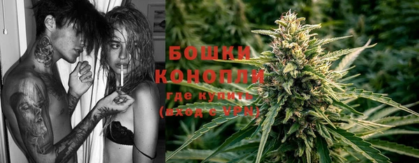 спайс Гусь-Хрустальный