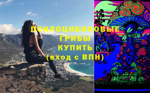 соль ск Гусев