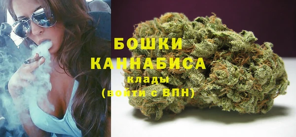соль ск Гусев