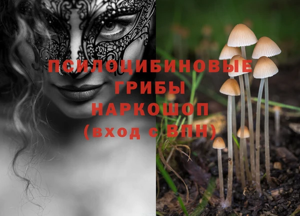 спайс Гусь-Хрустальный