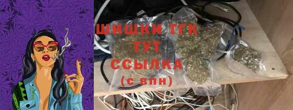 соль ск Гусев