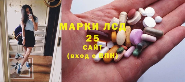 спайс Гусь-Хрустальный