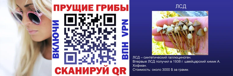 Псилоцибиновые грибы прущие грибы Симферополь